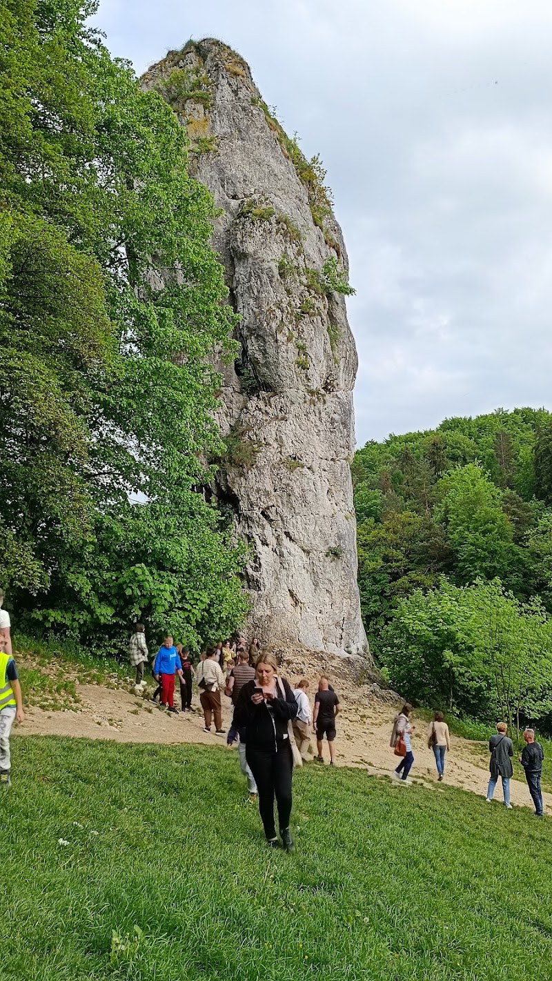 Visit Pieskowa Skala Castle